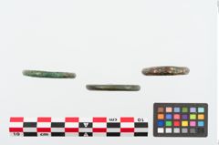 Foto von Bronzering (NHMW-PRAE-025072)